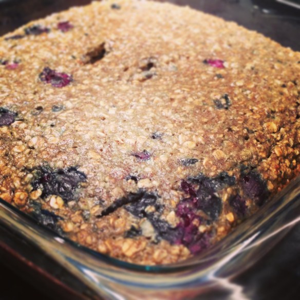Blueberry Oatmeal Bars